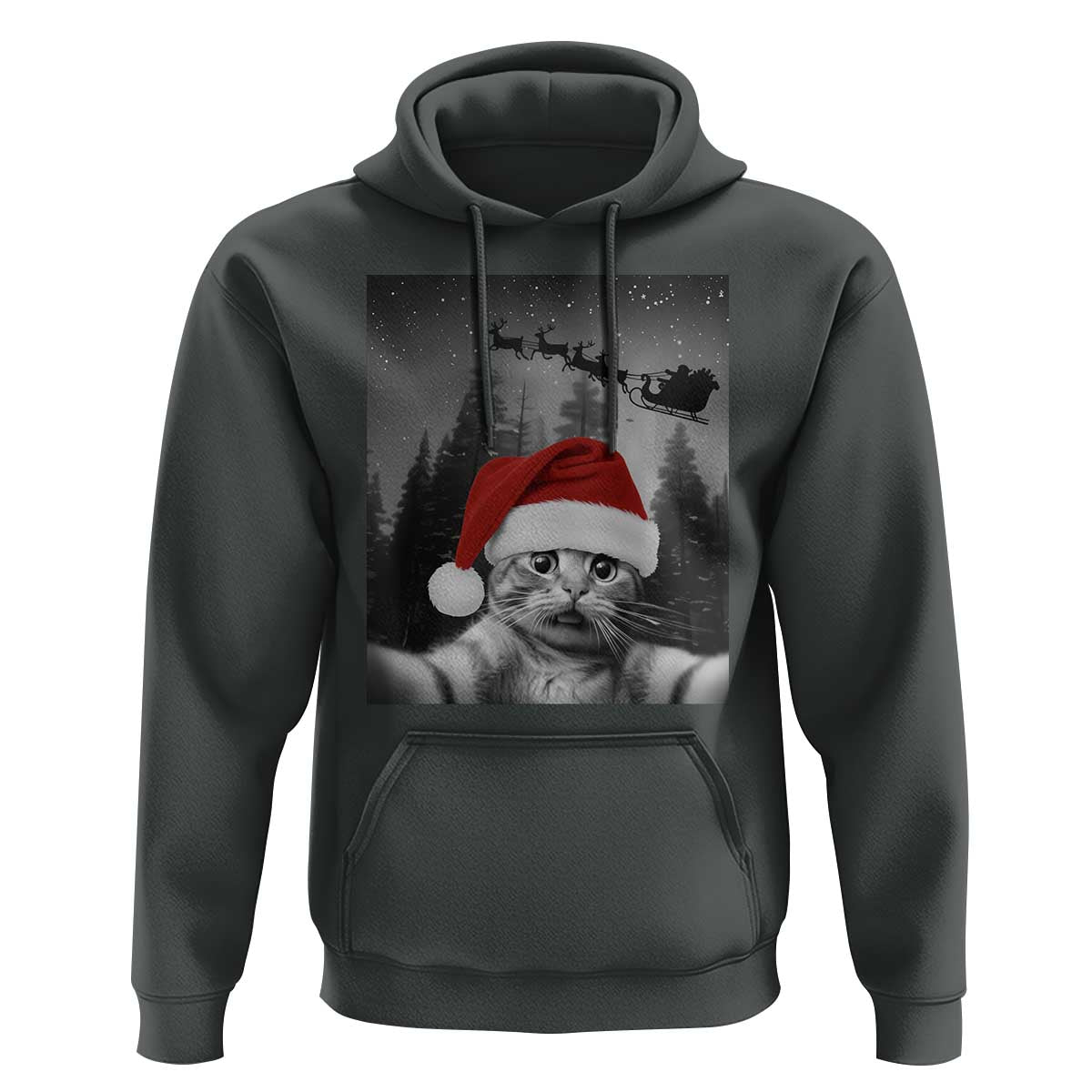 Funny Cat Selfie With Santas Sleigh Christmas Hoodie - Wonder Print Shop