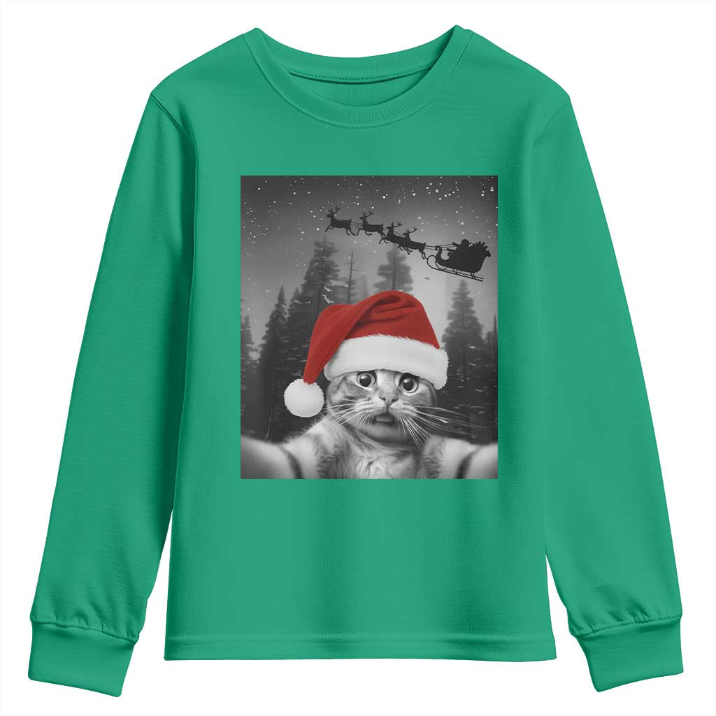 Funny Cat Selfie With Santas Sleigh Christmas Youth Sweatshirt - Wonder Print Shop
