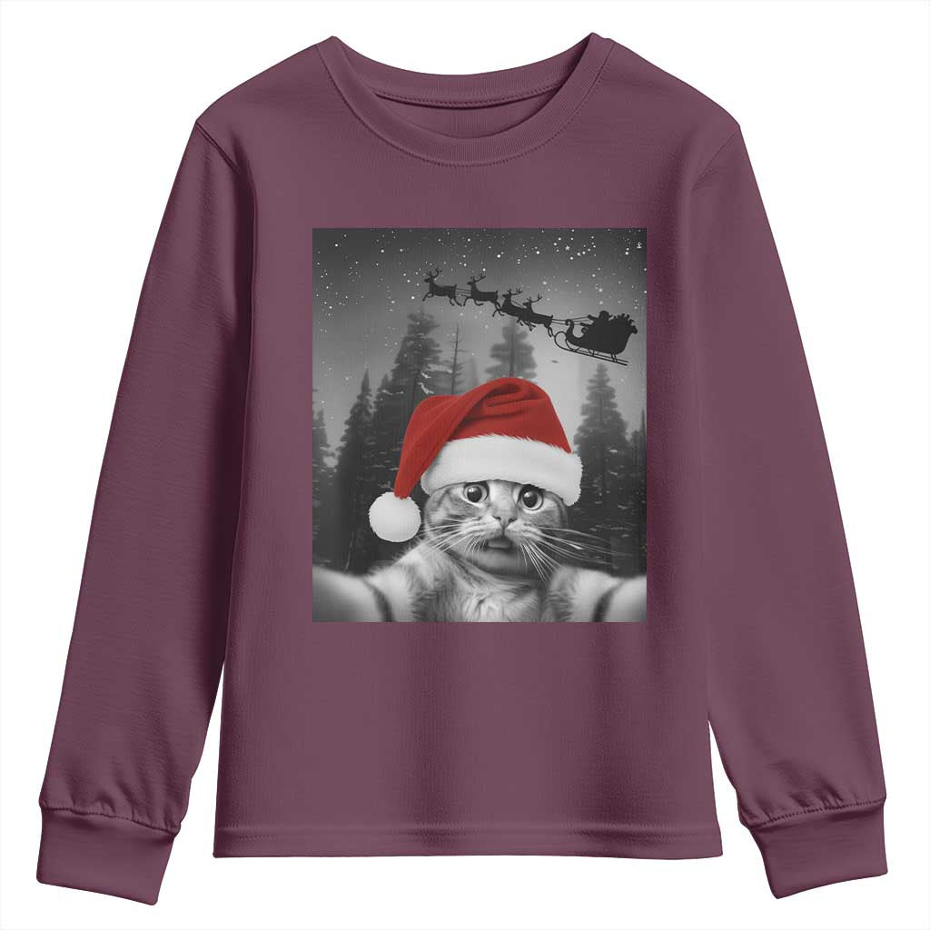 Funny Cat Selfie With Santas Sleigh Christmas Youth Sweatshirt - Wonder Print Shop