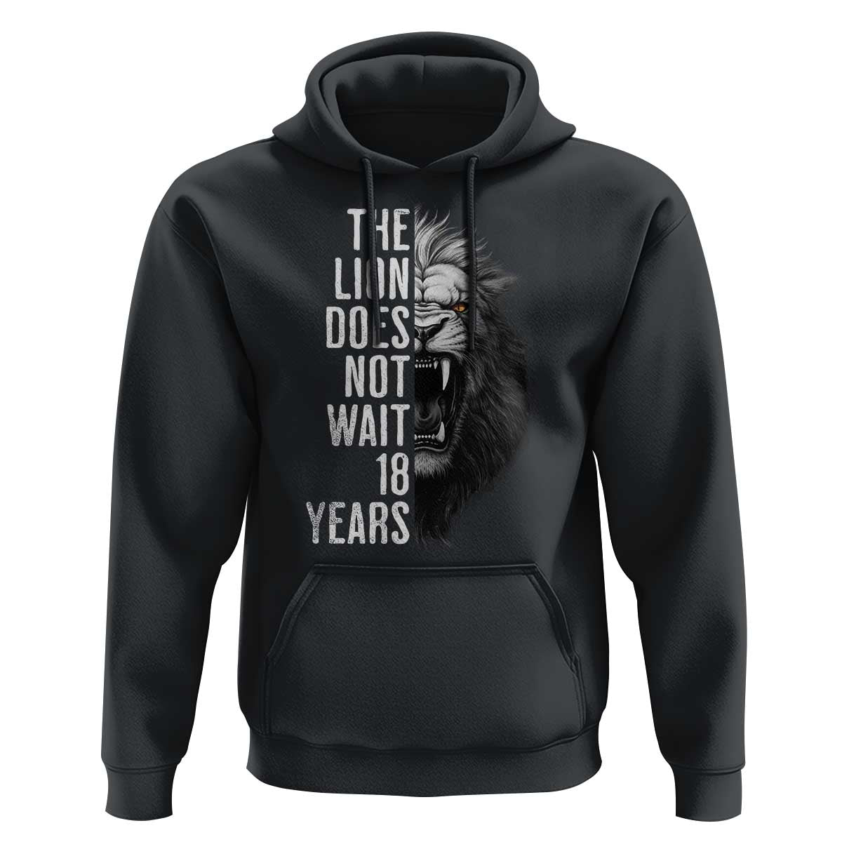 Funny The Lion Does Not Wait 18 Years Hoodie Lion Meme Gen Z Alpha - Wonder Print Shop