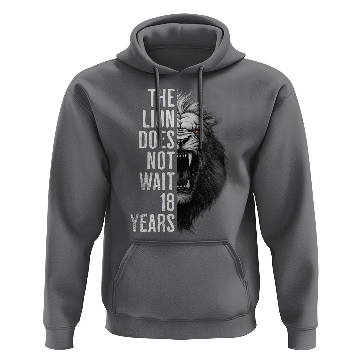 Funny The Lion Does Not Wait 18 Years Hoodie Lion Meme Gen Z Alpha - Wonder Print Shop