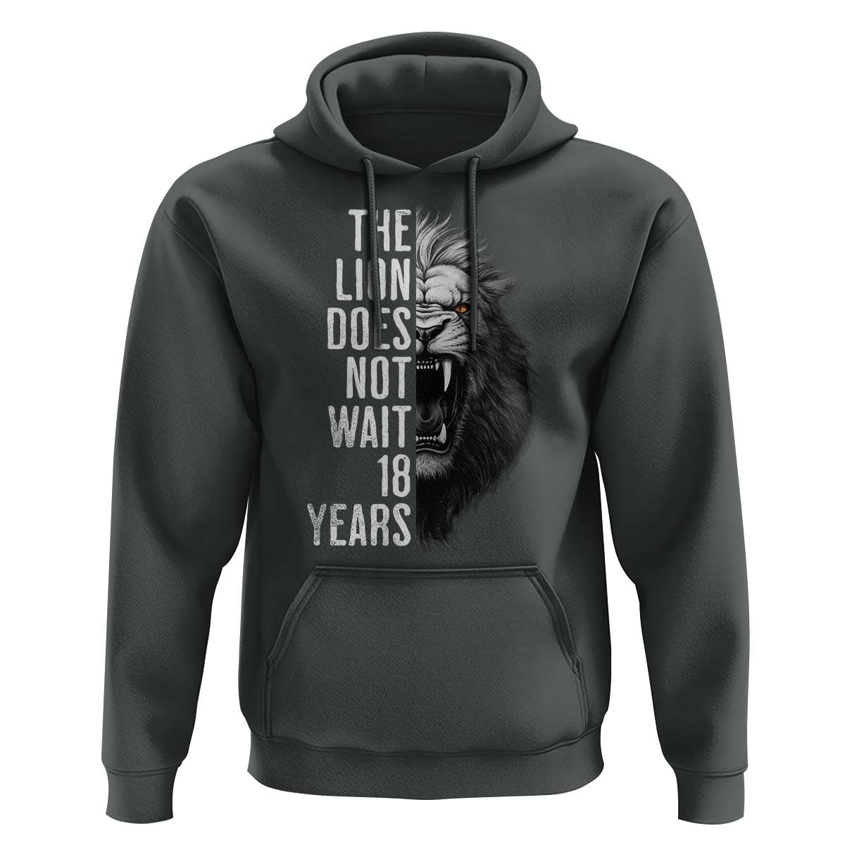 Funny The Lion Does Not Wait 18 Years Hoodie Lion Meme Gen Z Alpha - Wonder Print Shop