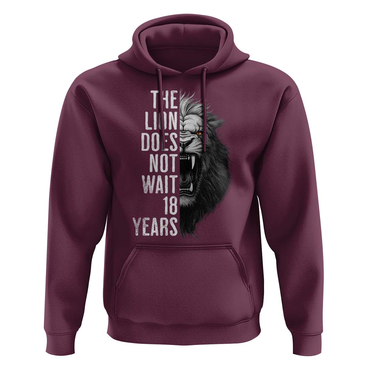Funny The Lion Does Not Wait 18 Years Hoodie Lion Meme Gen Z Alpha - Wonder Print Shop