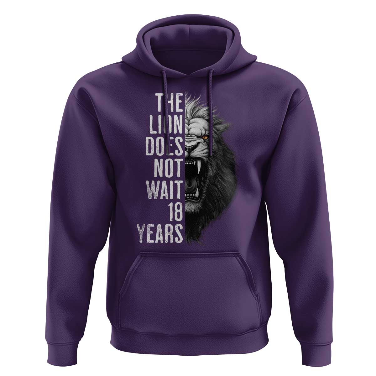 Funny The Lion Does Not Wait 18 Years Hoodie Lion Meme Gen Z Alpha - Wonder Print Shop