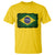 Brazilian Pride Latin America Vintage Brazil Flag T Shirt - Wonder Print Shop