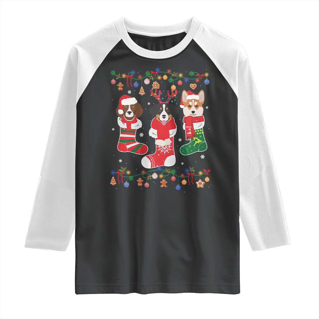 Funny Christmas Dog Owner Raglan Shirt Socks Xmas Holiday - Wonder Print Shop