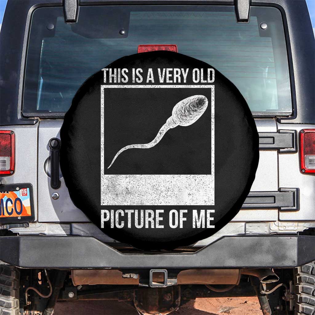 Funny This Is A Very Old Picture Of Me Spare Tire Cover Adult Humor Gag Gift - Wonder Print Shop