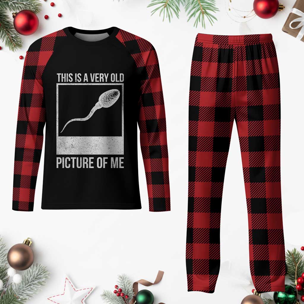 Funny This Is A Very Old Picture Of Me Plaid Pajama Set Adult Humor Gag Gift - Wonder Print Shop