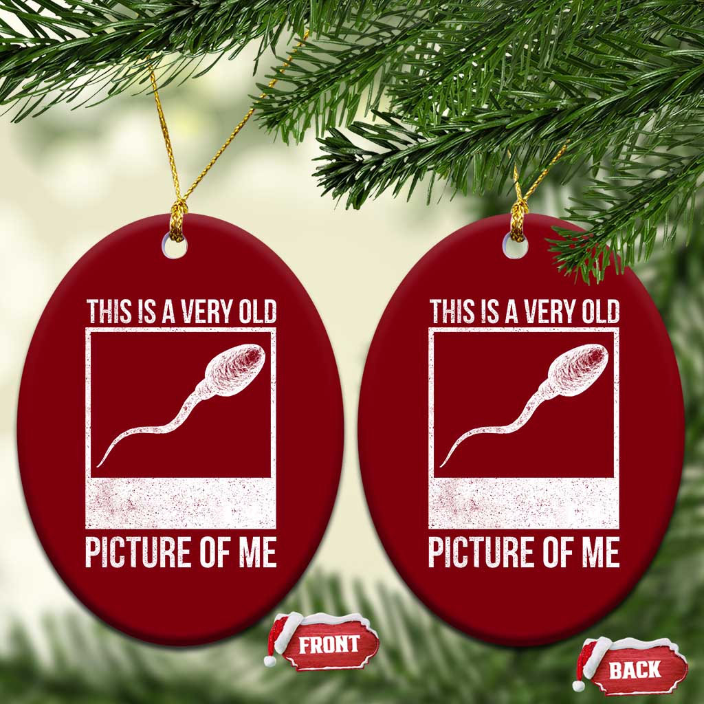 Funny This Is A Very Old Picture Of Me Ceramic Ornament Adult Humor Gag Gift - Wonder Print Shop