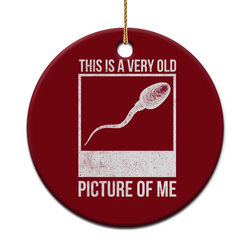 Funny This Is A Very Old Picture Of Me Ceramic Ornament Adult Humor Gag Gift - Wonder Print Shop