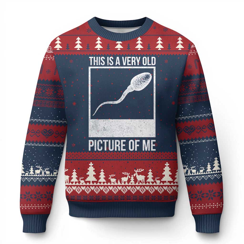 Funny This Is A Very Old Picture Of Me Ugly Christmas Sweater Adult Humor Gag Gift - Wonder Print Shop