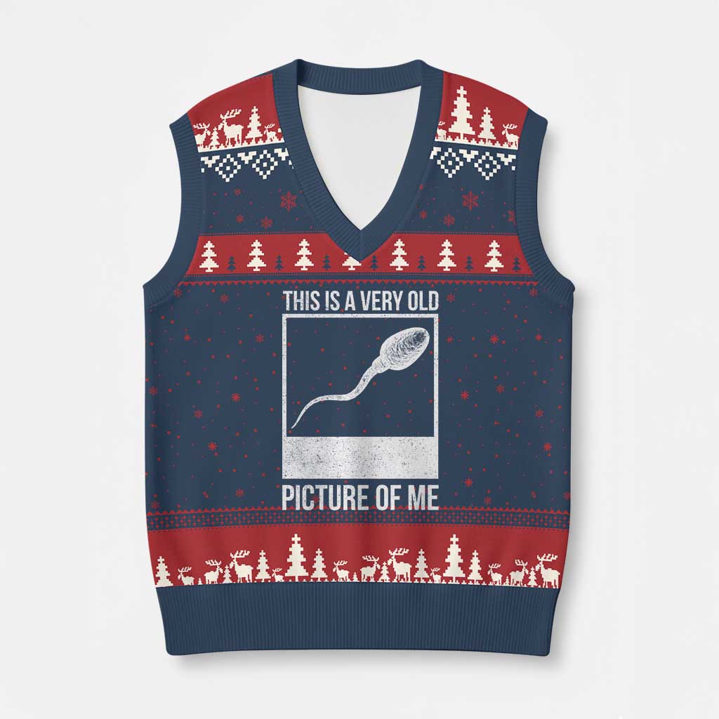 Funny This Is A Very Old Picture Of Me V-Neck Knit Sweater Vest Adult Humor Gag Gift - Wonder Print Shop
