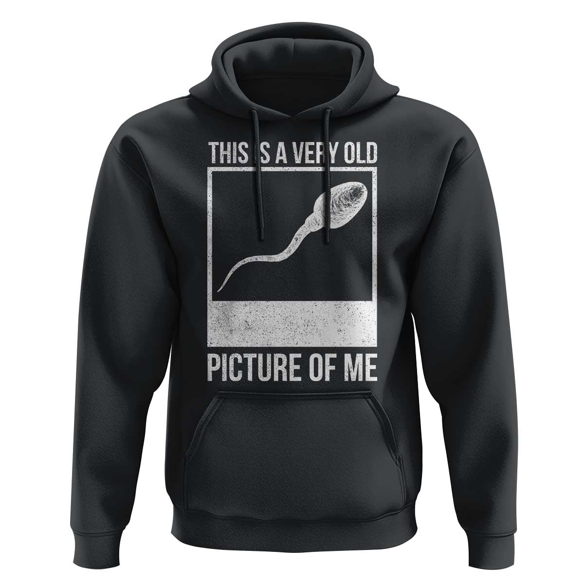 Funny This Is A Very Old Picture Of Me Hoodie Adult Humor Gag Gift - Wonder Print Shop