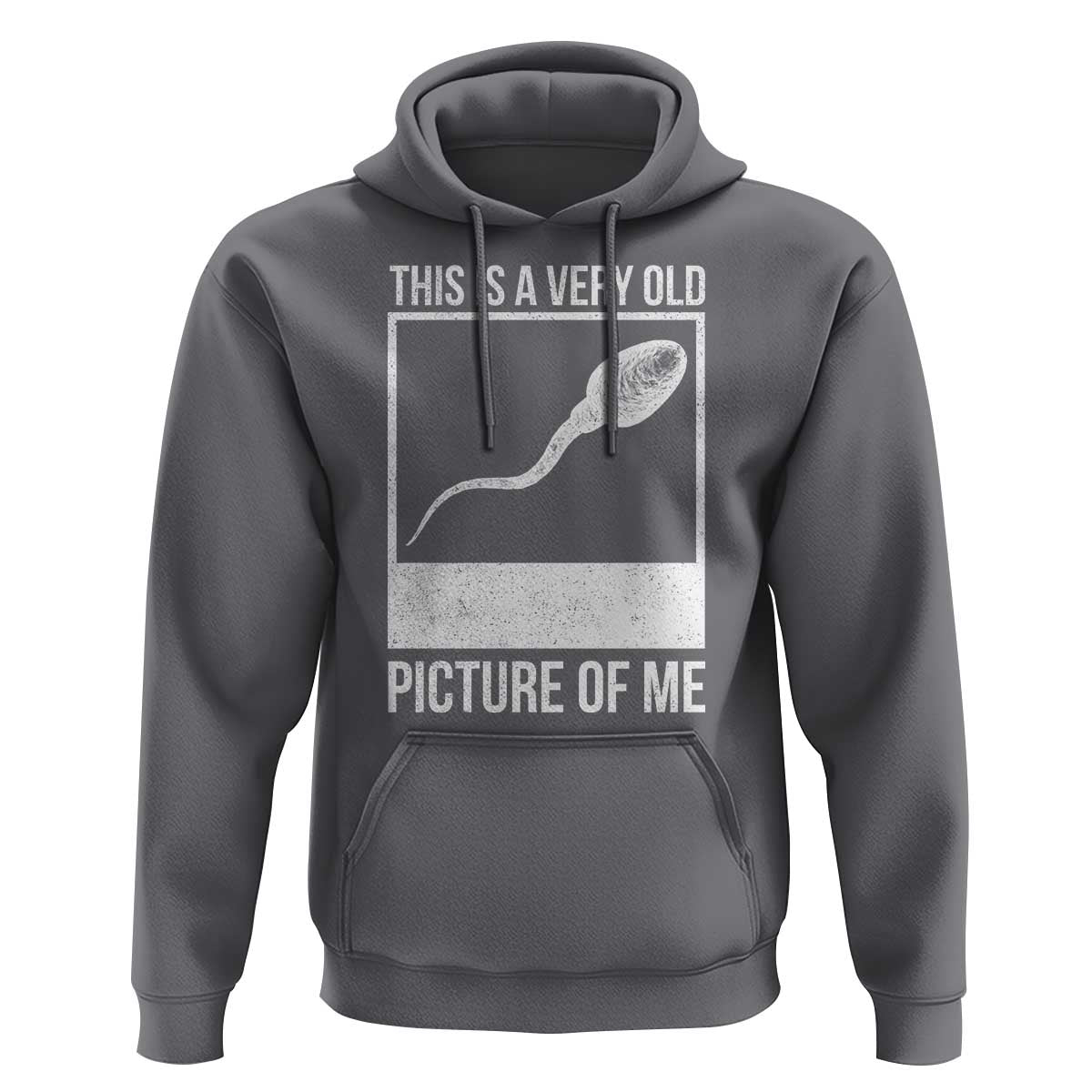 Funny This Is A Very Old Picture Of Me Hoodie Adult Humor Gag Gift - Wonder Print Shop