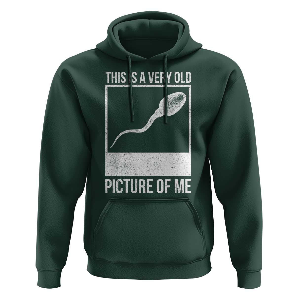 Funny This Is A Very Old Picture Of Me Hoodie Adult Humor Gag Gift - Wonder Print Shop
