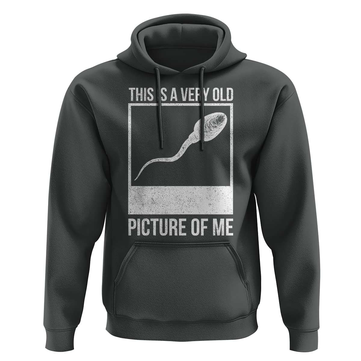 Funny This Is A Very Old Picture Of Me Hoodie Adult Humor Gag Gift - Wonder Print Shop