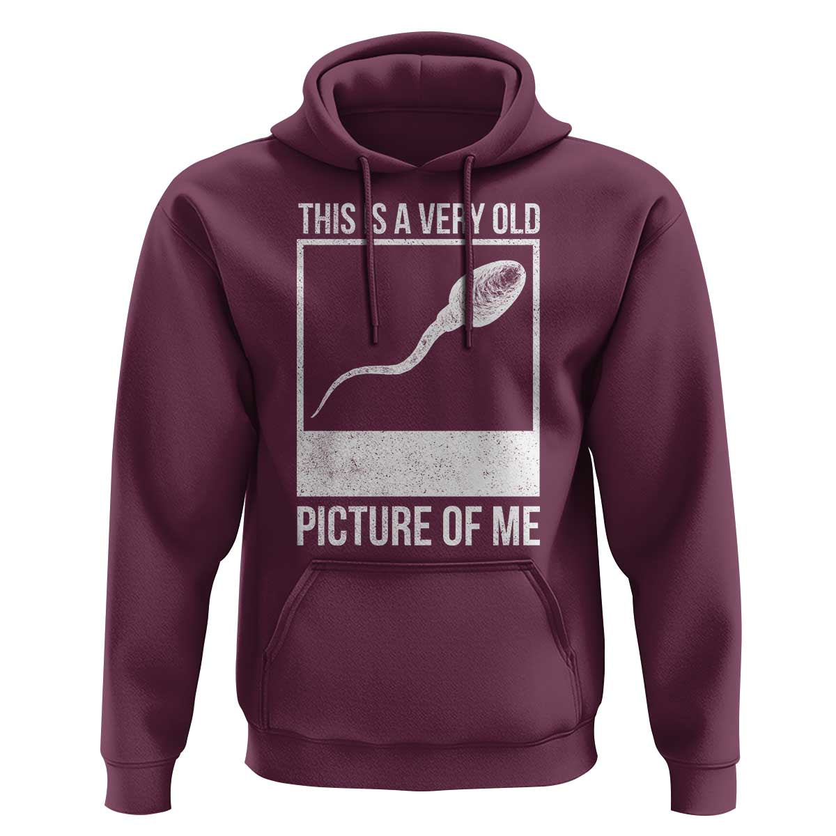 Funny This Is A Very Old Picture Of Me Hoodie Adult Humor Gag Gift - Wonder Print Shop