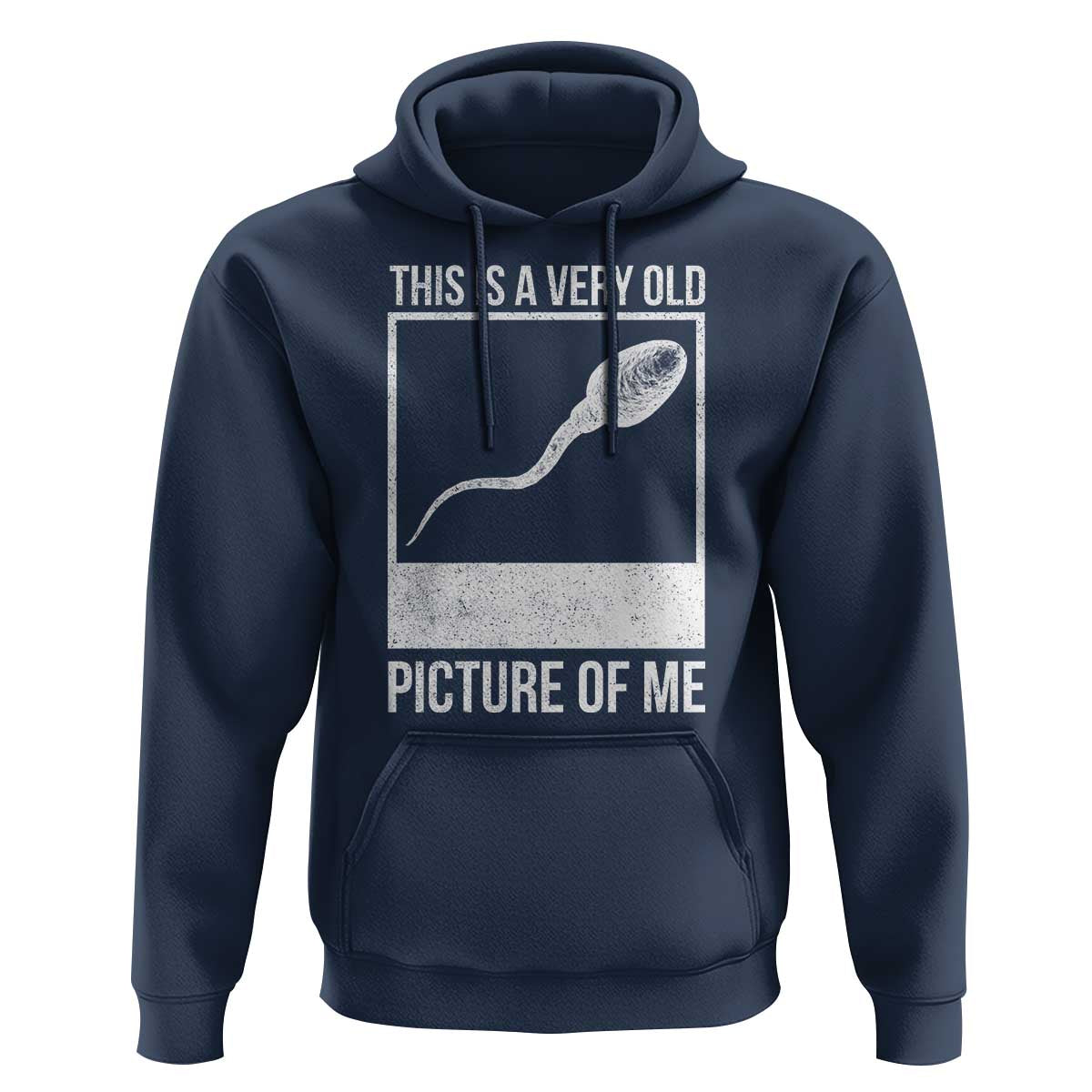 Funny This Is A Very Old Picture Of Me Hoodie Adult Humor Gag Gift - Wonder Print Shop