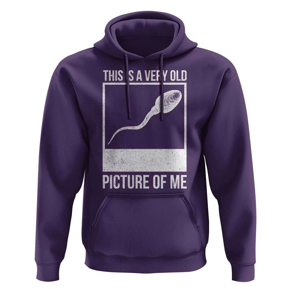 Funny This Is A Very Old Picture Of Me Hoodie Adult Humor Gag Gift - Wonder Print Shop