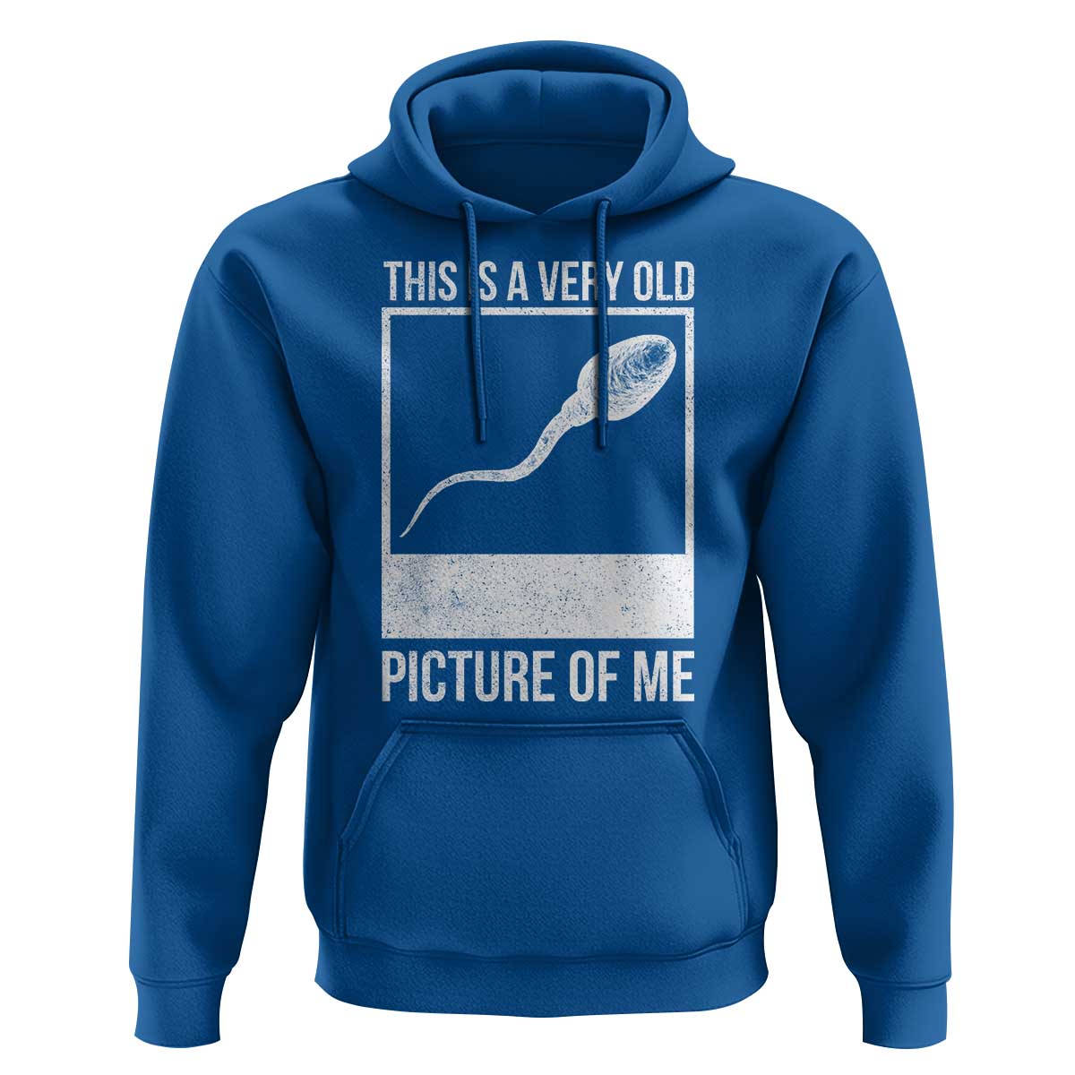 Funny This Is A Very Old Picture Of Me Hoodie Adult Humor Gag Gift - Wonder Print Shop