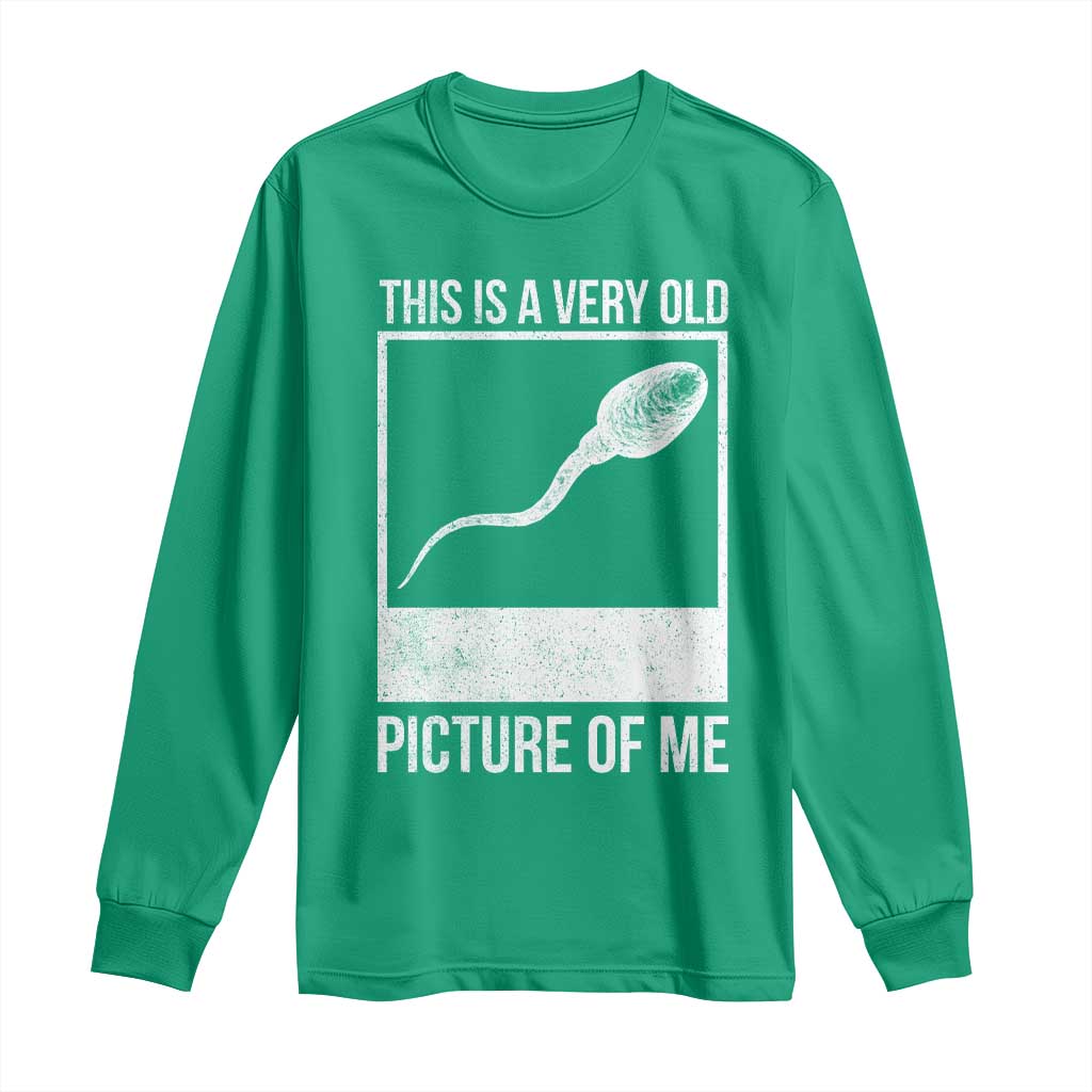 Funny This Is A Very Old Picture Of Me Long Sleeve Shirt Adult Humor Gag Gift - Wonder Print Shop