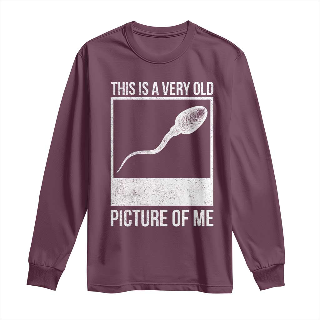 Funny This Is A Very Old Picture Of Me Long Sleeve Shirt Adult Humor Gag Gift - Wonder Print Shop