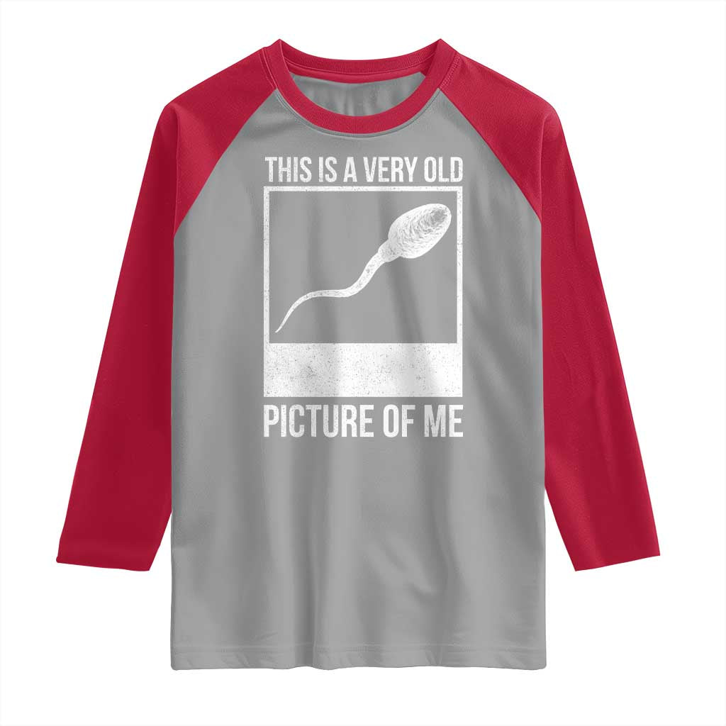 Funny This Is A Very Old Picture Of Me Raglan Shirt Adult Humor Gag Gift - Wonder Print Shop