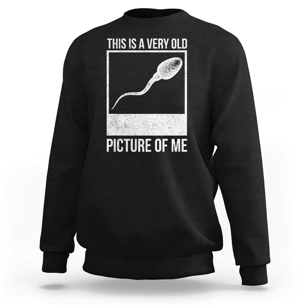 Funny This Is A Very Old Picture Of Me Sweatshirt Adult Humor Gag Gift - Wonder Print Shop