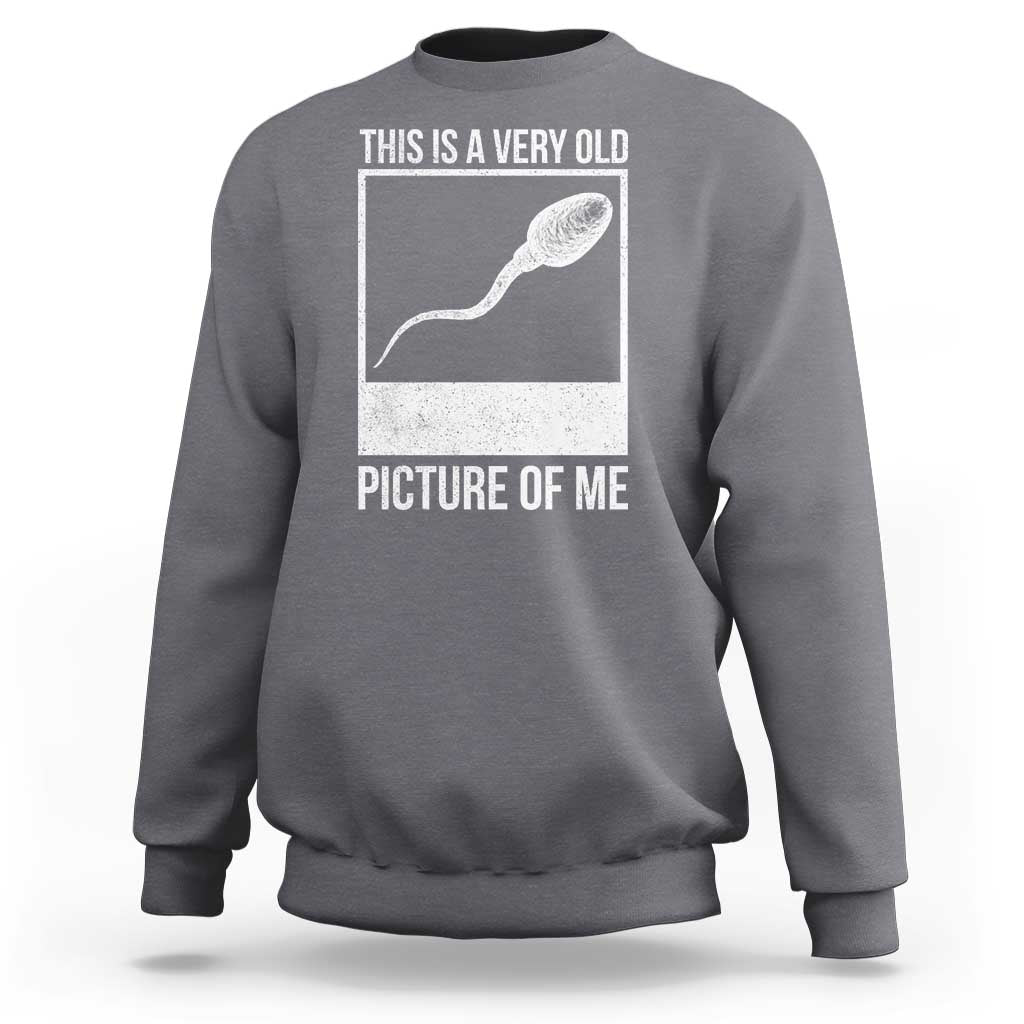 Funny This Is A Very Old Picture Of Me Sweatshirt Adult Humor Gag Gift - Wonder Print Shop