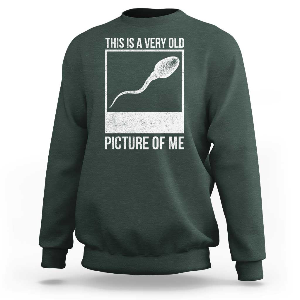 Funny This Is A Very Old Picture Of Me Sweatshirt Adult Humor Gag Gift - Wonder Print Shop