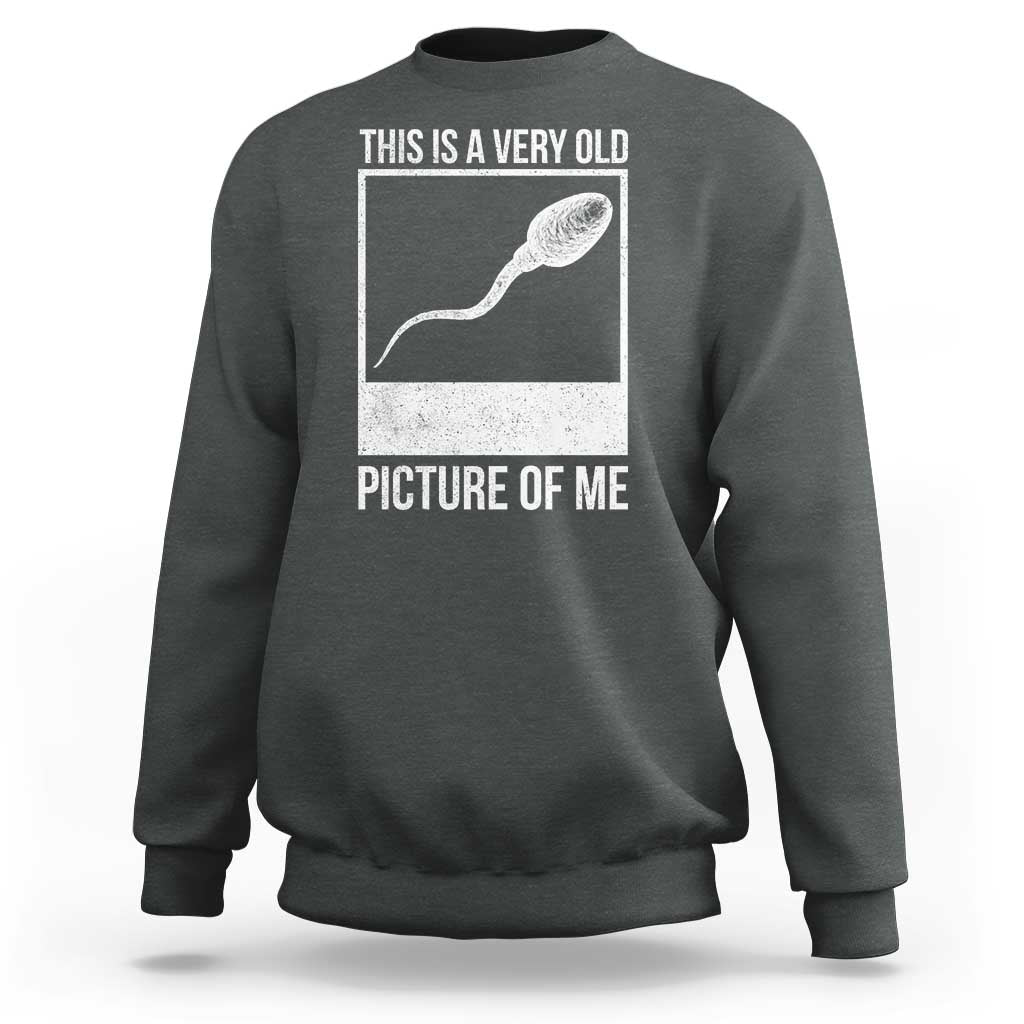 Funny This Is A Very Old Picture Of Me Sweatshirt Adult Humor Gag Gift - Wonder Print Shop
