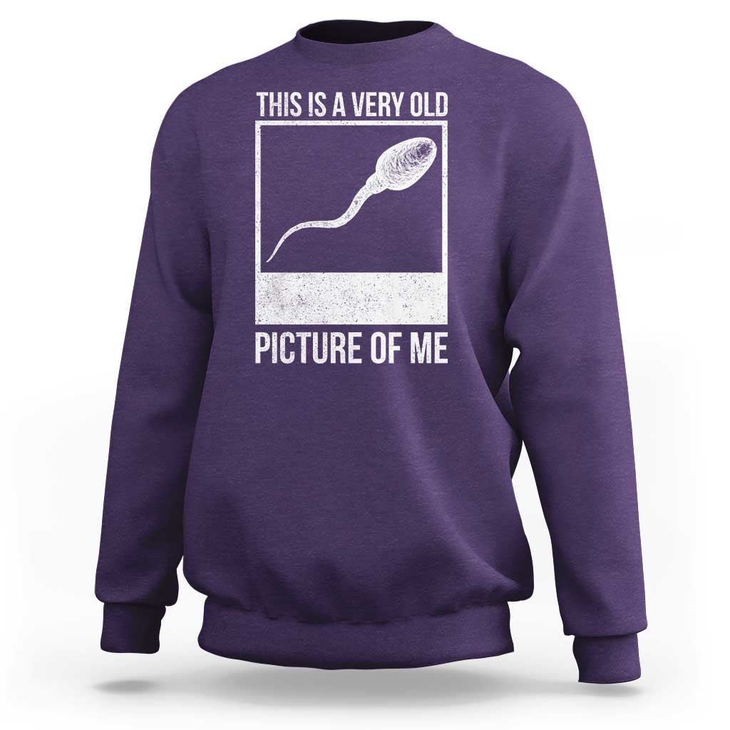 Funny This Is A Very Old Picture Of Me Sweatshirt Adult Humor Gag Gift - Wonder Print Shop