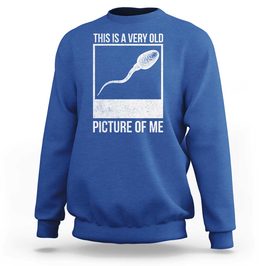 Funny This Is A Very Old Picture Of Me Sweatshirt Adult Humor Gag Gift - Wonder Print Shop