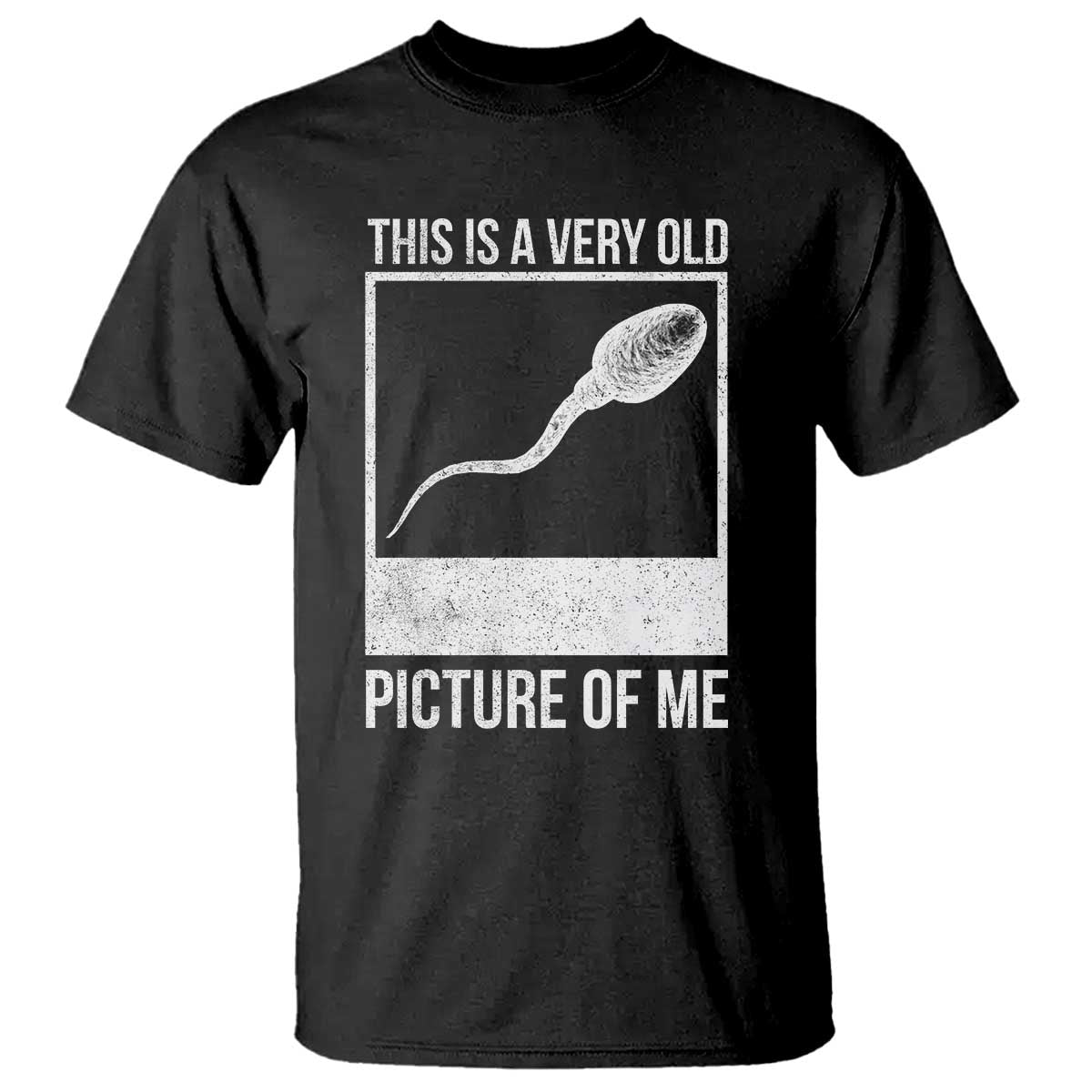 Funny This Is A Very Old Picture Of Me T Shirt Adult Humor Gag Gift - Wonder Print Shop