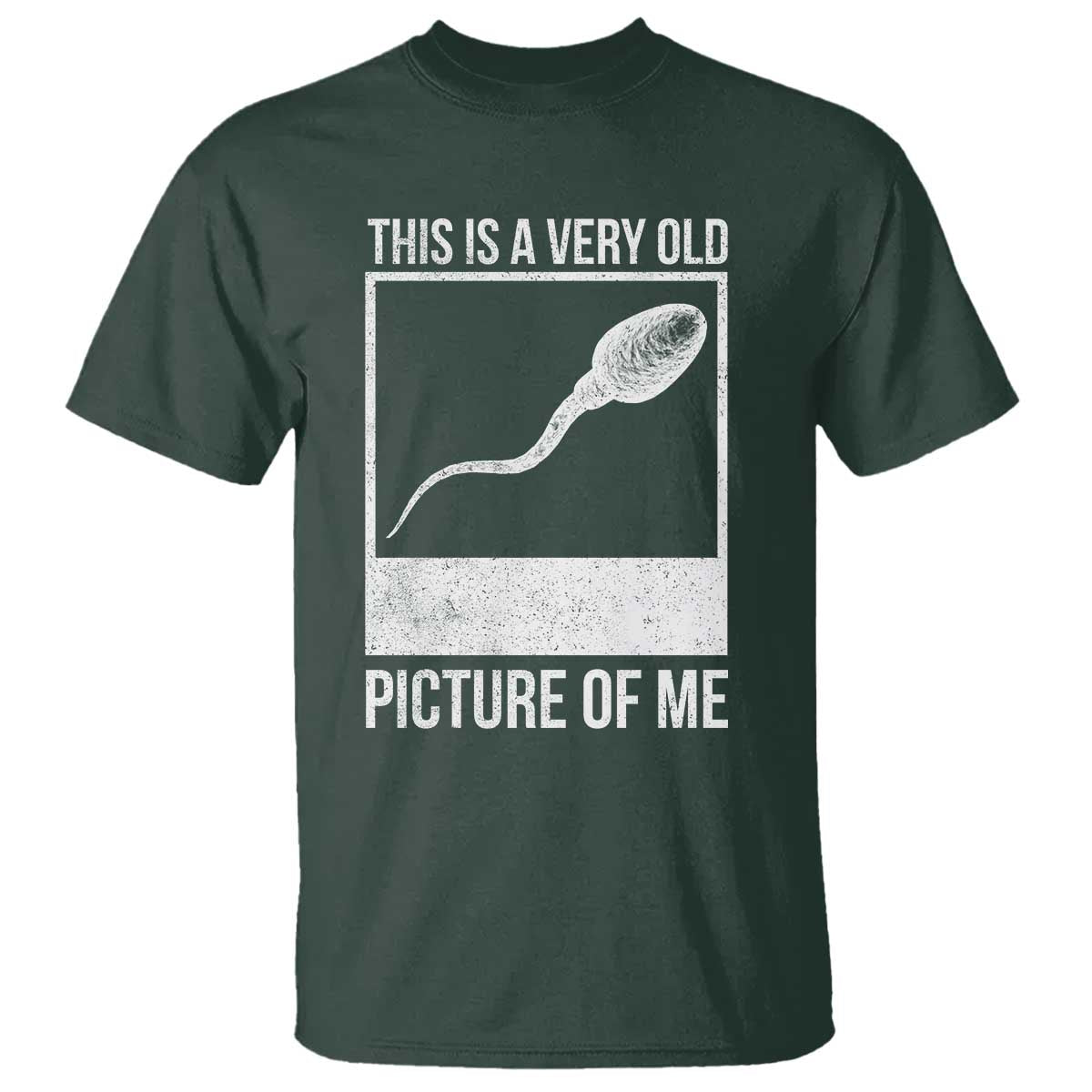 Funny This Is A Very Old Picture Of Me T Shirt Adult Humor Gag Gift - Wonder Print Shop