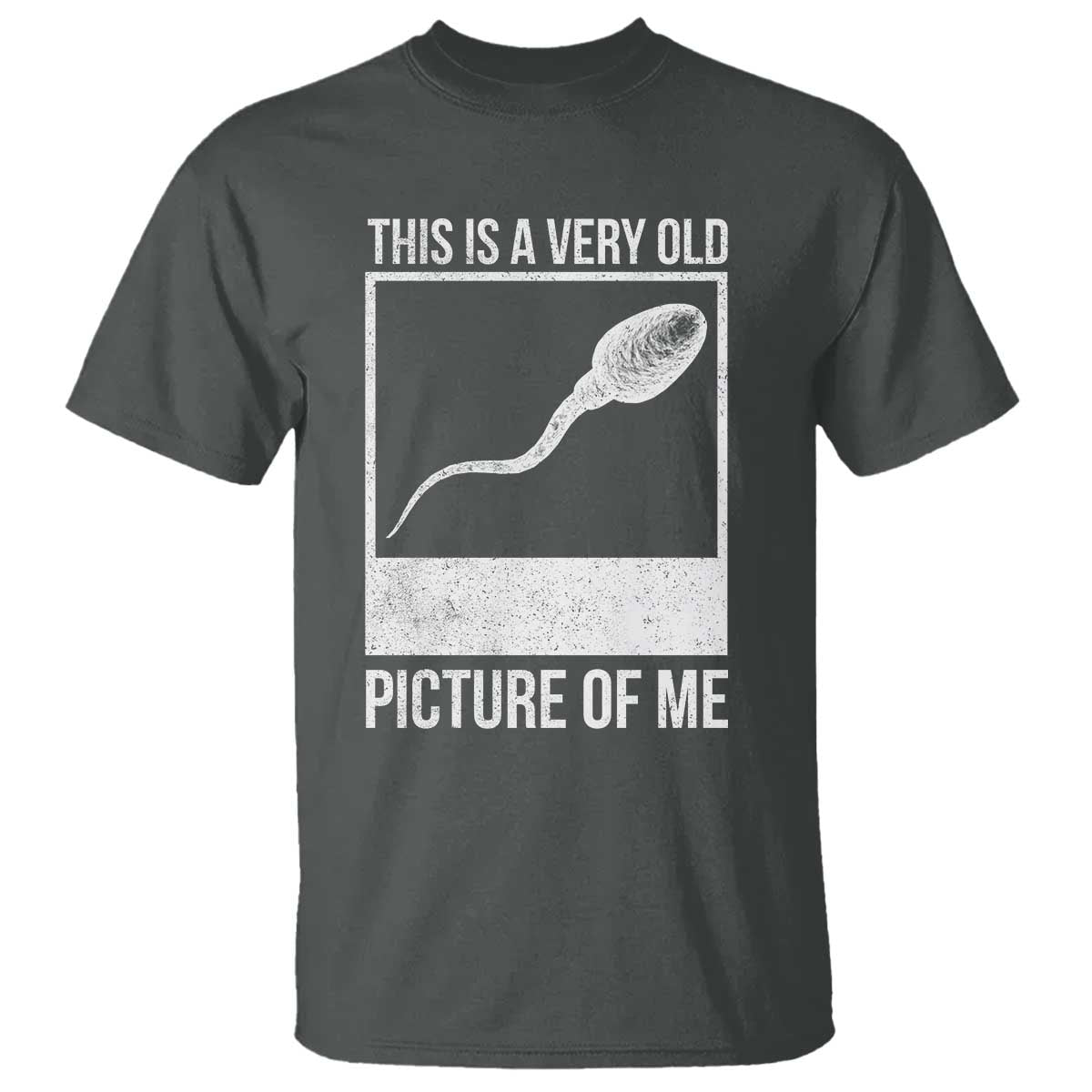 Funny This Is A Very Old Picture Of Me T Shirt Adult Humor Gag Gift - Wonder Print Shop