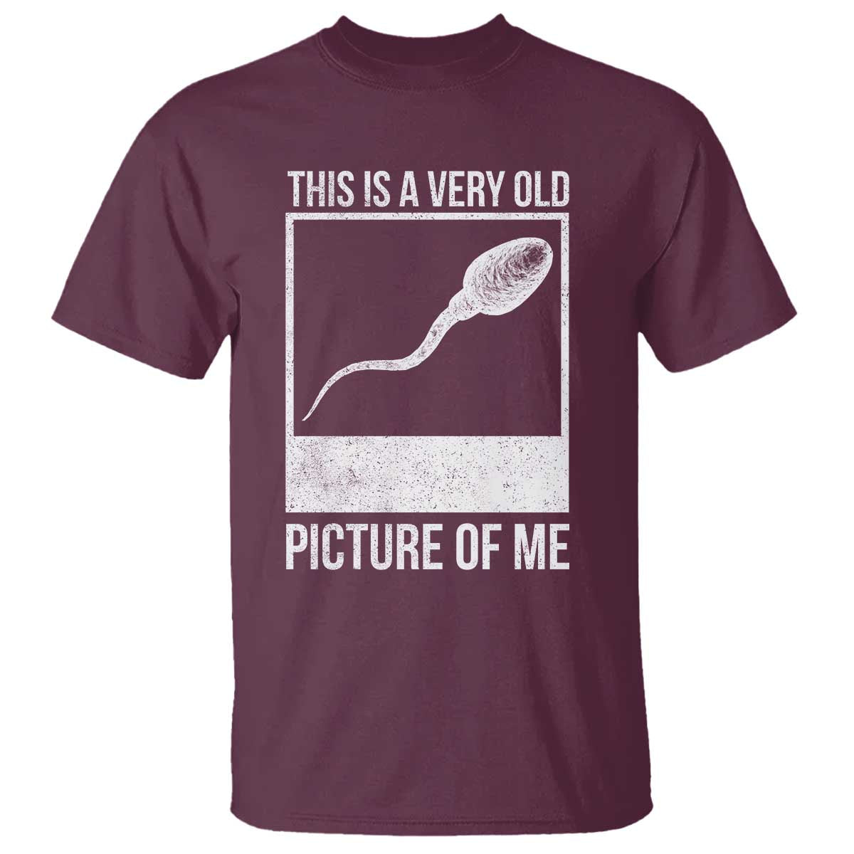 Funny This Is A Very Old Picture Of Me T Shirt Adult Humor Gag Gift - Wonder Print Shop