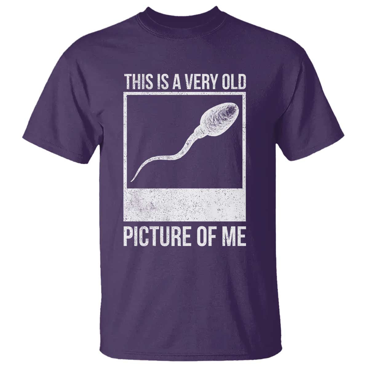 Funny This Is A Very Old Picture Of Me T Shirt Adult Humor Gag Gift - Wonder Print Shop