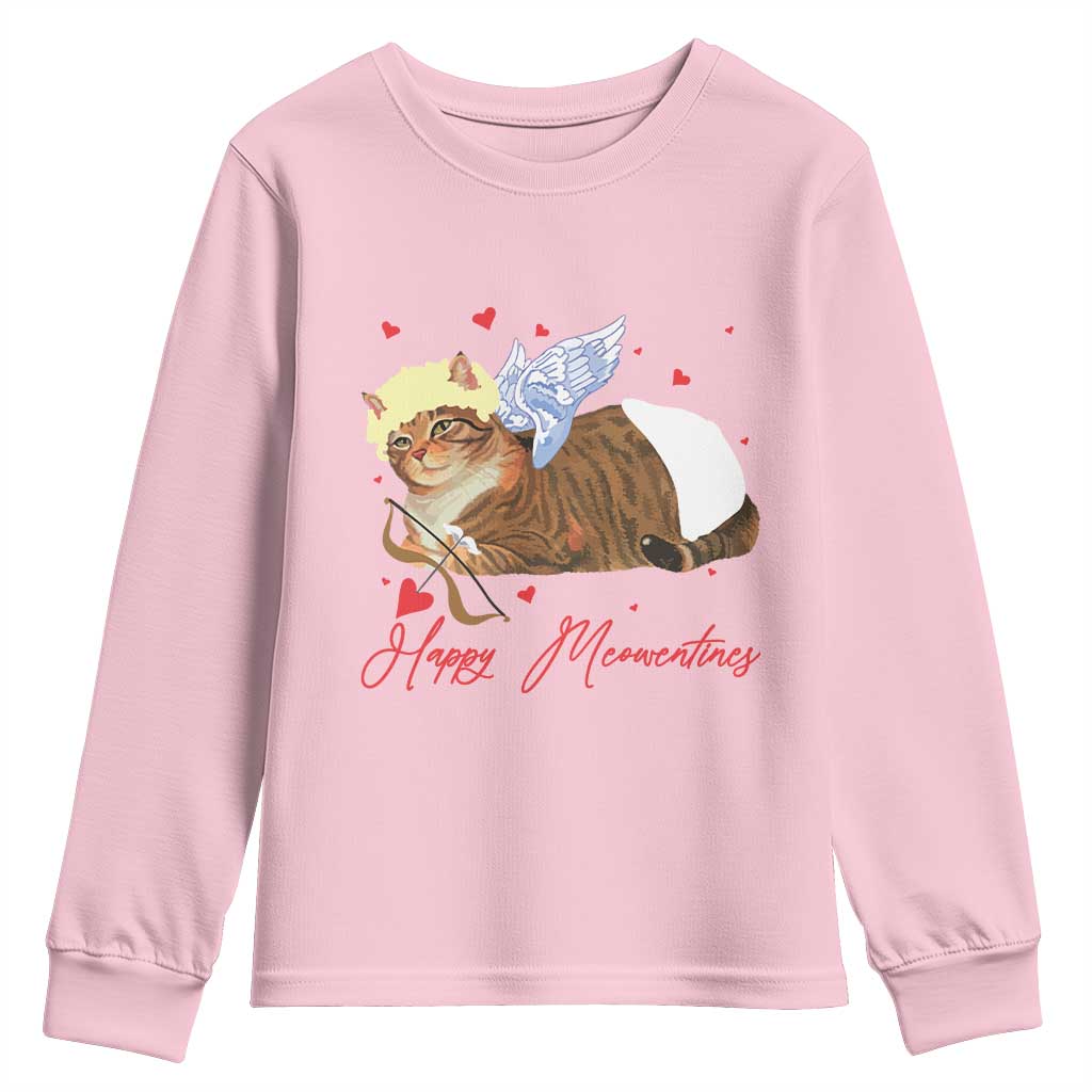 Funny Valentine's Day Cupid Cat Youth Sweatshirt Happy Meowentines