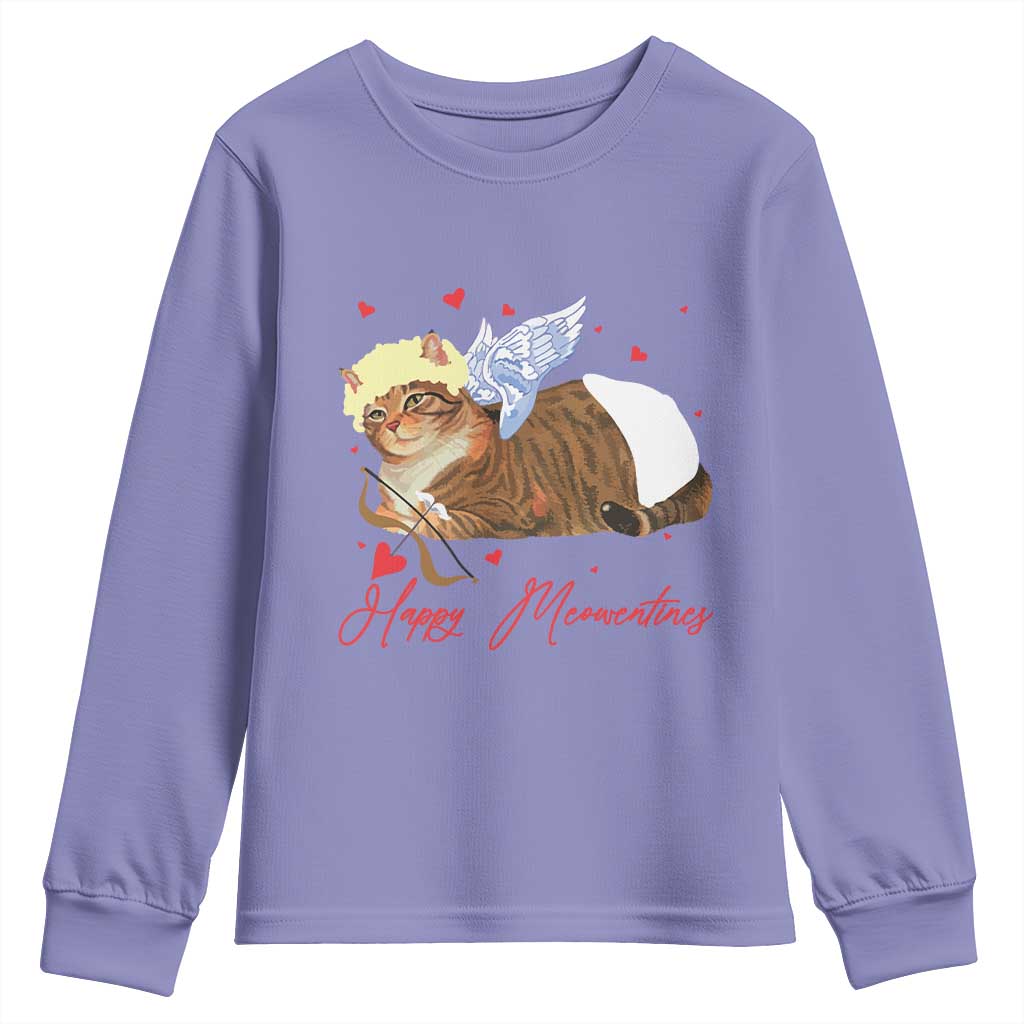 Funny Valentine's Day Cupid Cat Youth Sweatshirt Happy Meowentines