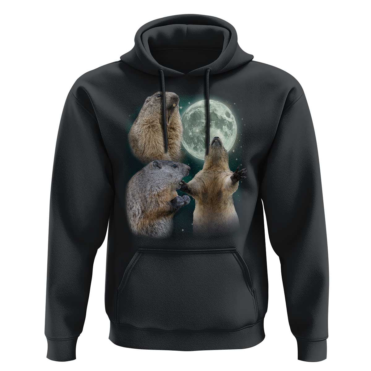 Funny Three Groundhog Moon Groundhog Day Meme Hoodie - Wonder Print Shop