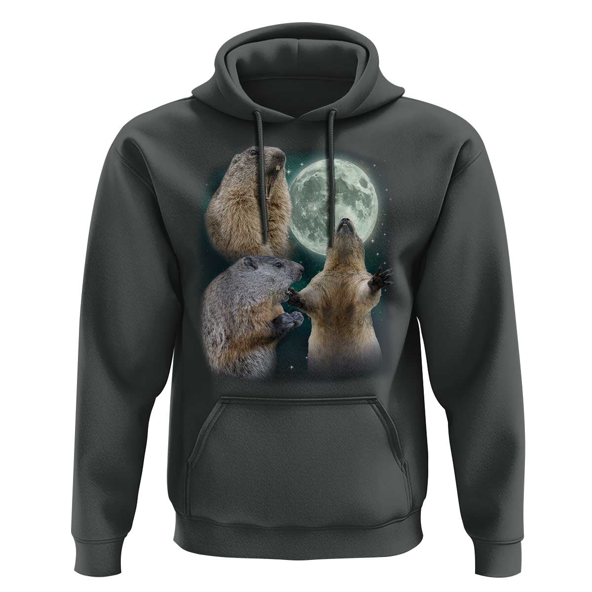 Funny Three Groundhog Moon Groundhog Day Meme Hoodie - Wonder Print Shop