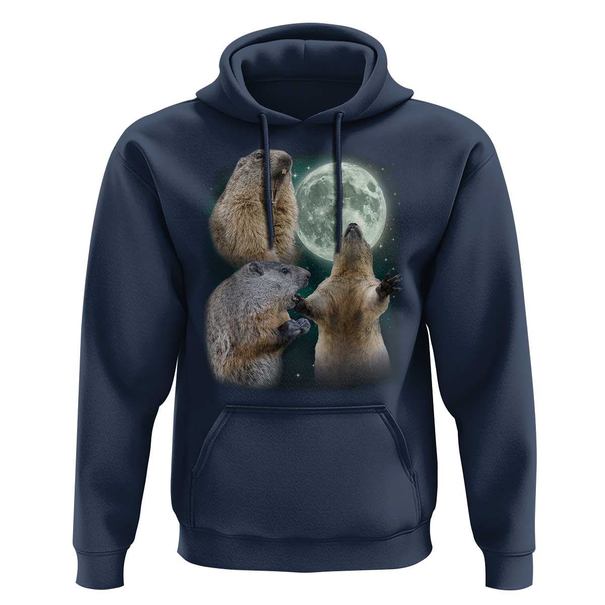 Funny Three Groundhog Moon Groundhog Day Meme Hoodie - Wonder Print Shop