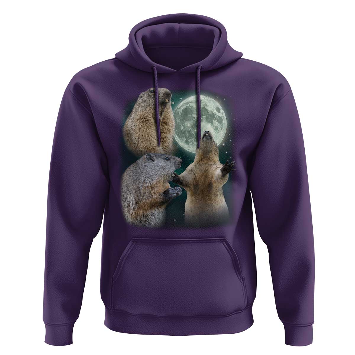 Funny Three Groundhog Moon Groundhog Day Meme Hoodie - Wonder Print Shop