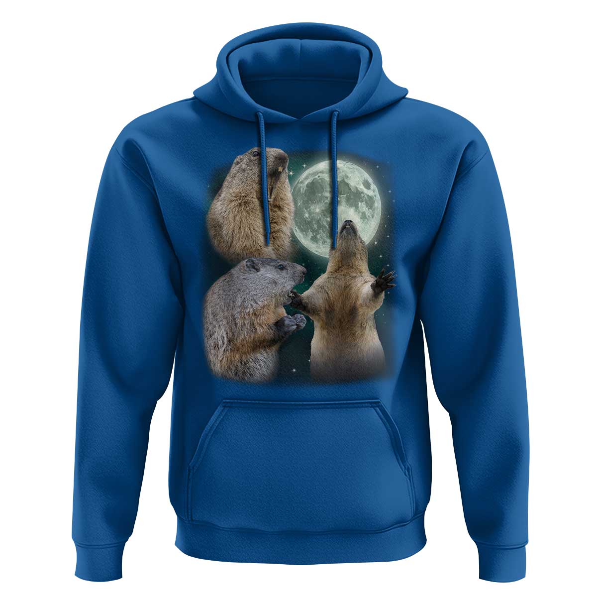 Funny Three Groundhog Moon Groundhog Day Meme Hoodie - Wonder Print Shop