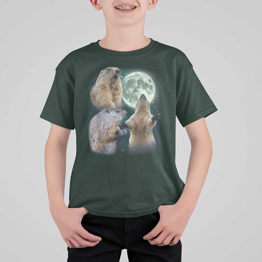 Funny Three Groundhog Moon Groundhog Day Meme T Shirt For Kid - Wonder Print Shop