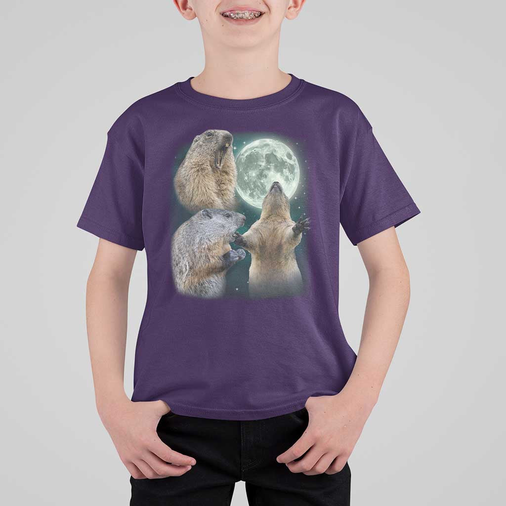 Funny Three Groundhog Moon Groundhog Day Meme T Shirt For Kid - Wonder Print Shop