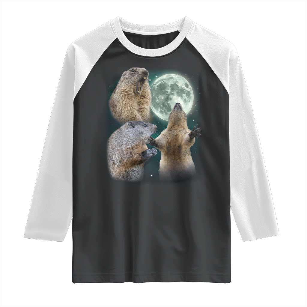 Funny Three Groundhog Moon Groundhog Day Meme Raglan Shirt - Wonder Print Shop
