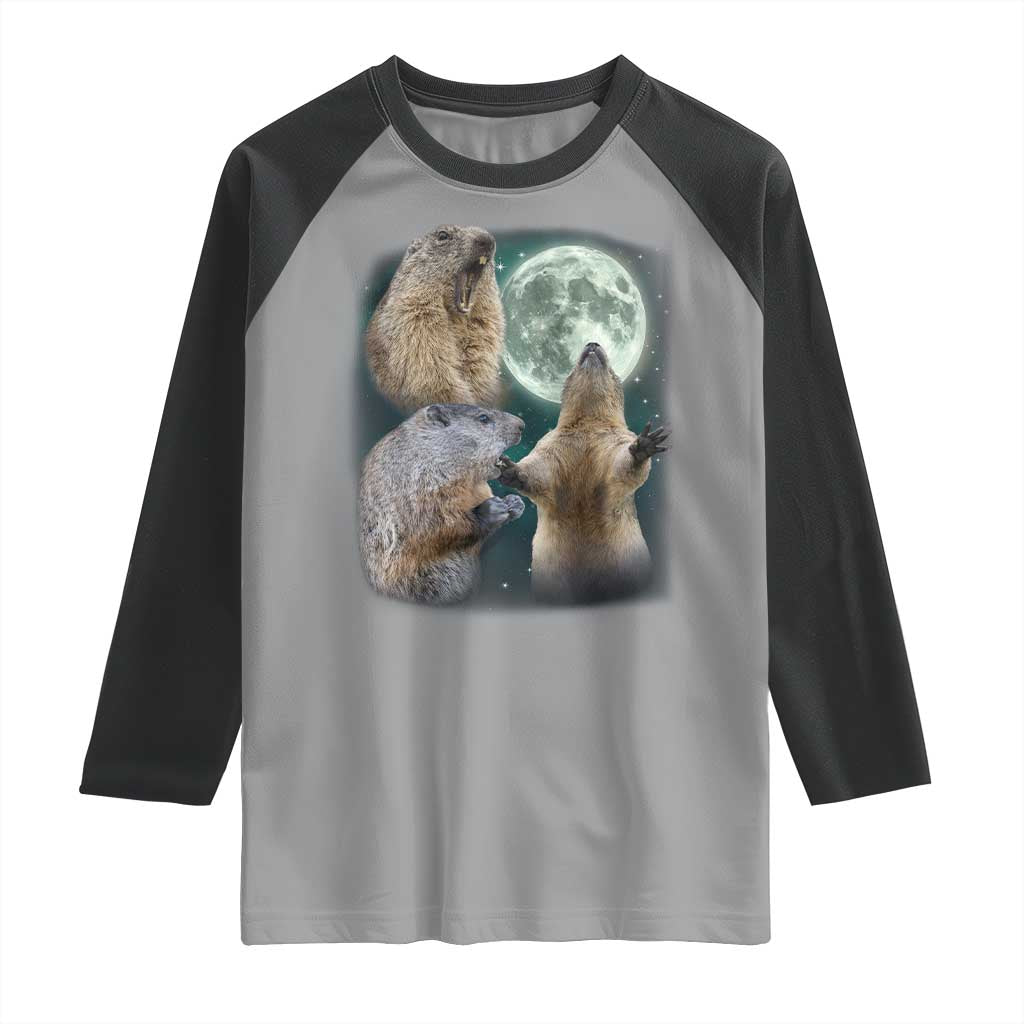Funny Three Groundhog Moon Groundhog Day Meme Raglan Shirt - Wonder Print Shop
