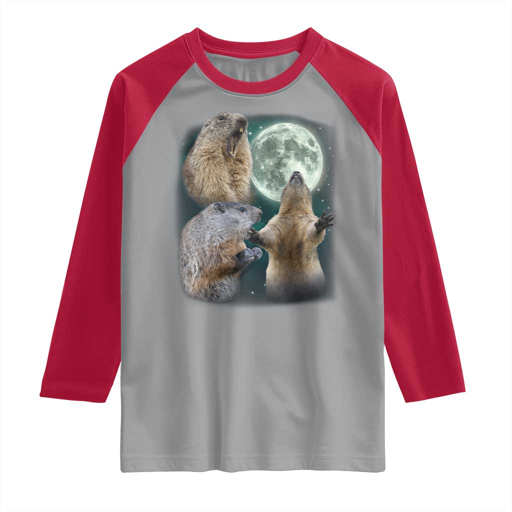 Funny Three Groundhog Moon Groundhog Day Meme Raglan Shirt - Wonder Print Shop